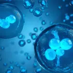 In Grecia una donna è incinta con embrione da 